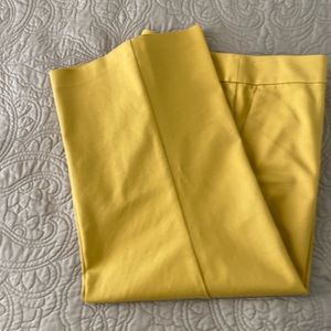 In excellent condition Loft size 8p washable cropped pants